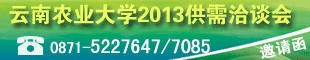 20121219rIW2013îI͌ǢՄ