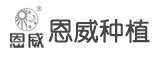康定恩威高原藥材野生撫育基地有限責(zé)任公司