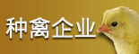 種禽企業(yè)
