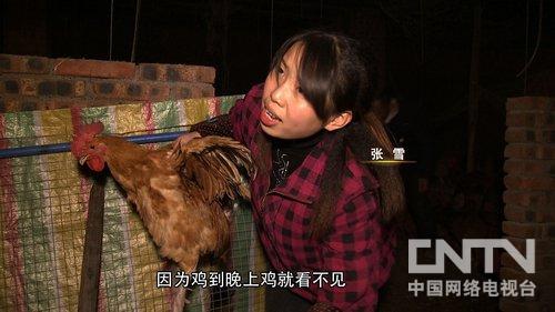 重慶榮昌縣村官張雪