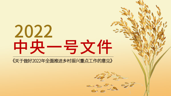 2022年中央一號文件